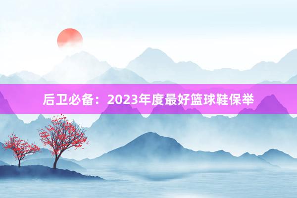 后卫必备：2023年度最好篮球鞋保举