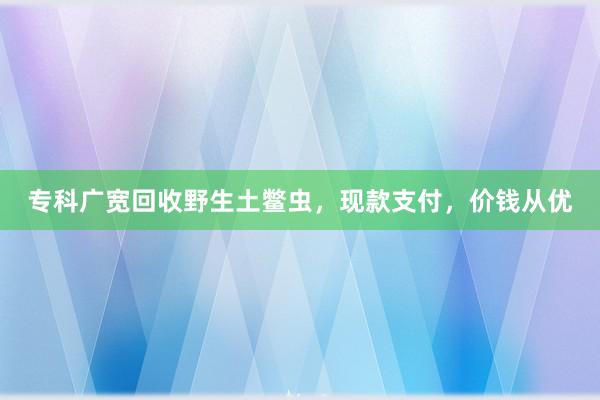 专科广宽回收野生土鳖虫，现款支付，价钱从优