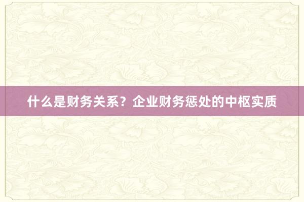 什么是财务关系？企业财务惩处的中枢实质