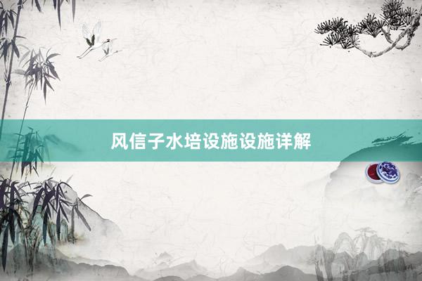 风信子水培设施设施详解