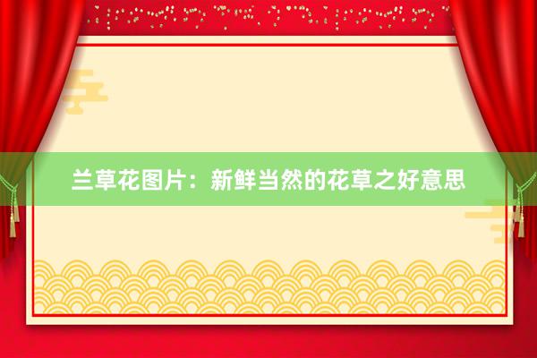 兰草花图片：新鲜当然的花草之好意思